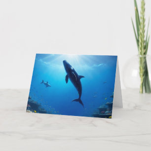 Cartes Pour Fêtes Annuelles Voyage du doux géant