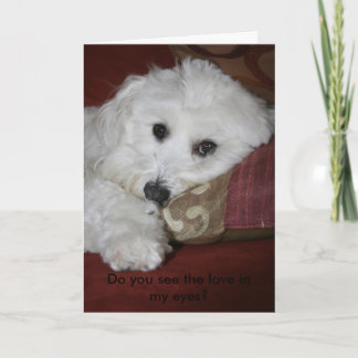 Cartes Pour Fêtes Annuelles Voyez-vous l'amour dans mes yeux ?