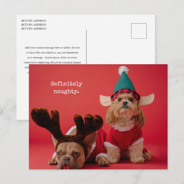 Cartes Pour Fêtes Annuelles Vraiment Naughty Pet Photo Mignonne Noël (Devant / Derrière)