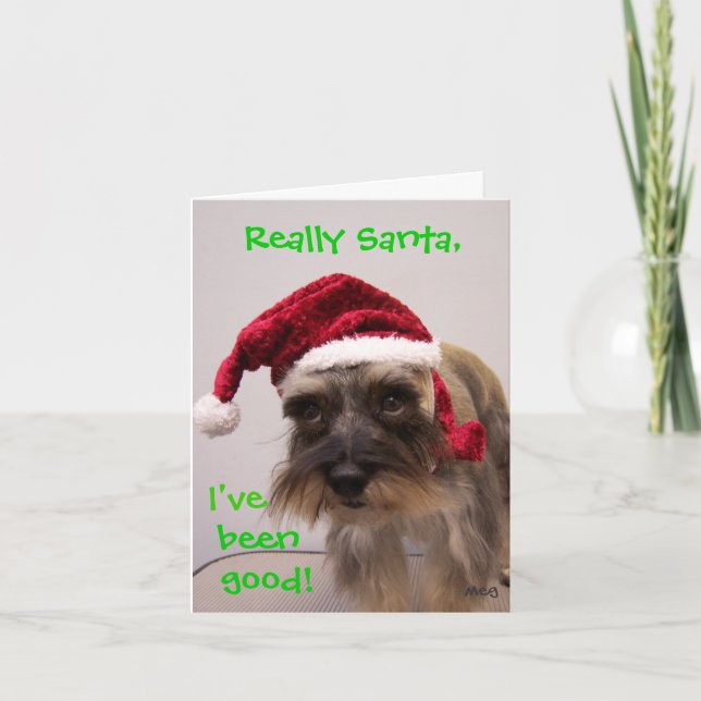 Cartes Pour Fêtes Annuelles Vraiment Père Noël ! (Devant)