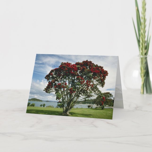 Cartes Pour Fêtes Annuelles Waitangi, arbre de Noël, fleur de Nouvelle-Zélande (Devant)