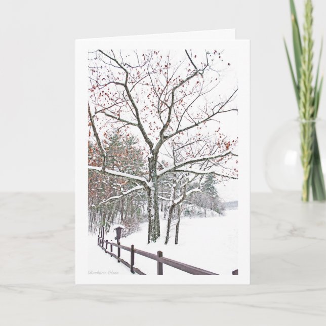Cartes Pour Fêtes Annuelles *Walden l'étang : Rendez-vous en nature : Vacances (Devant)