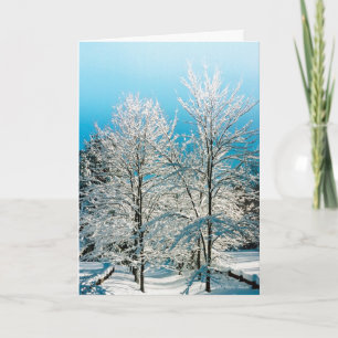 Cartes Pour Fêtes Annuelles Walden Pond