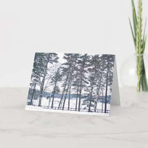 Cartes Pour Fêtes Annuelles Walden Pond : Profitez des plaisirs de la saison
