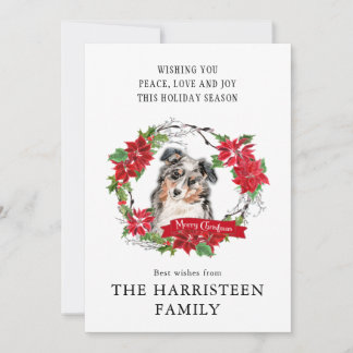 Cartes Pour Fêtes Annuelles Watercolor Australian Shepherd Poinsettia Wreath