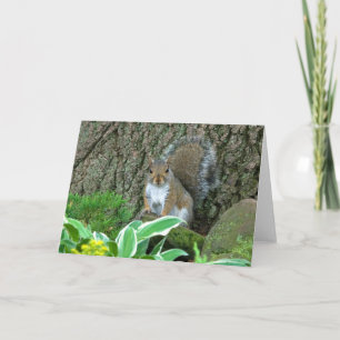 Cartes Pour Fêtes Annuelles Wee Princess