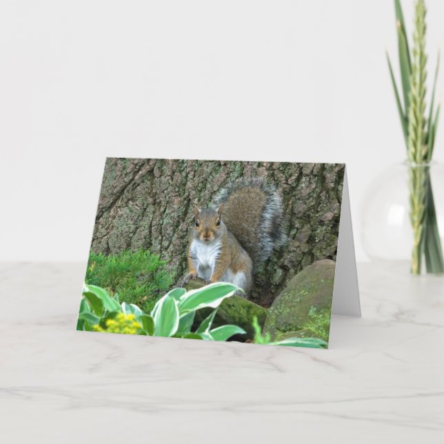 Cartes Pour Fêtes Annuelles Wee Princess (Devant)