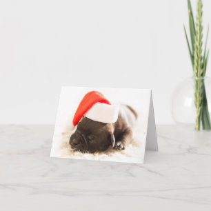 Cartes Pour Fêtes Annuelles Weihnachtswelpe