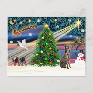 Cartes Pour Fêtes Annuelles Weimaraner