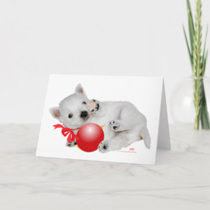 Cartes Pour Fêtes Annuelles Westie Puppy Christmas Playtime