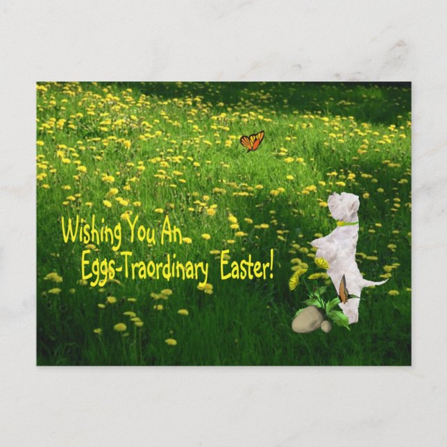 Cartes Pour Fêtes Annuelles Westie vous souhaitant des oeufs - Traordinary (Devant)