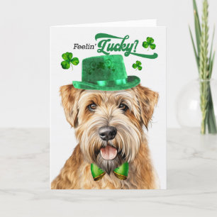 Cartes Pour Fêtes Annuelles Wheaten Terrier Dog Feelin' Lucky St Patrick's Day