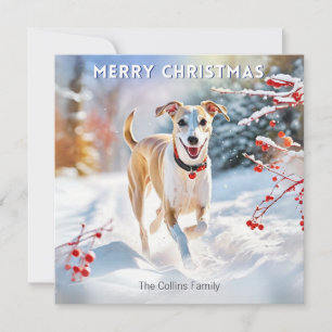 Cartes Pour Fêtes Annuelles Whippet Chien Marcher Dans Neige Hiver Joyeux Noël