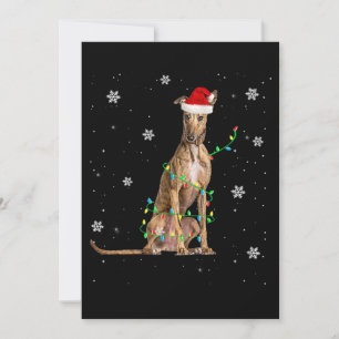 Cartes Pour Fêtes Annuelles Whippet Christmas Light mignet Père Noël Whippet X