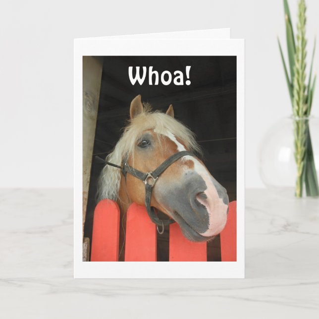 CARTES POUR FÊTES ANNUELLES 'WHOA DIT LE CHEVAL' JOYEZ NOËL À "VOUS" (Devant)