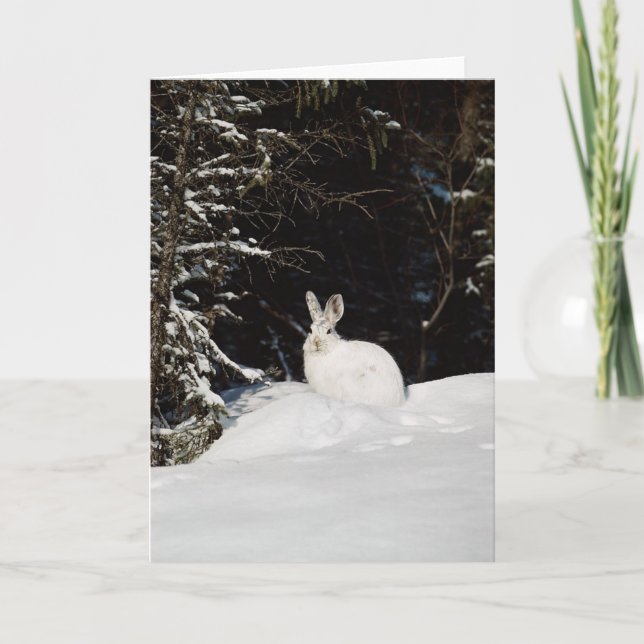 Cartes Pour Fêtes Annuelles Wild Rabbit (Devant)