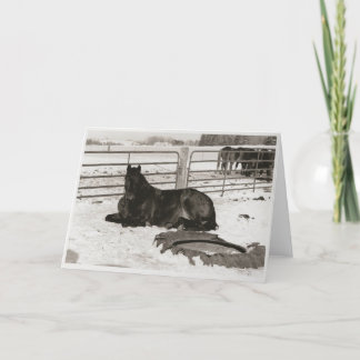 Cartes Pour Fêtes Annuelles Winter Wonder