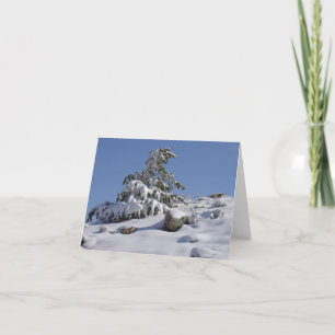 Cartes Pour Fêtes Annuelles Winter Wonder All Occasion Greeting Card