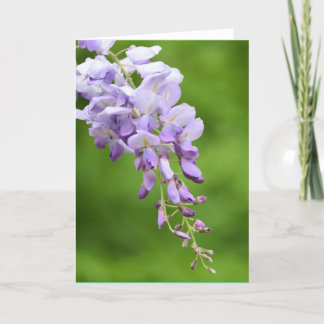 Cartes Pour Fêtes Annuelles Wisteria