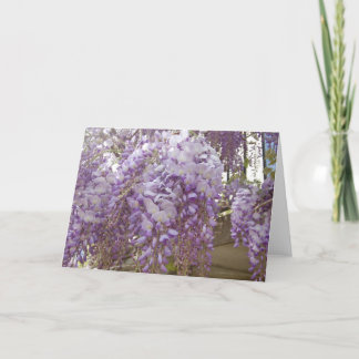 Cartes Pour Fêtes Annuelles Wisteria