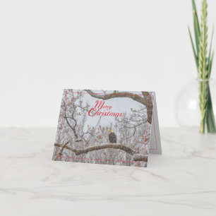 Cartes Pour Fêtes Annuelles Wonderland d'hiver (avec un aigle)