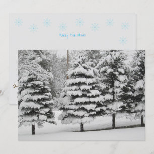 Cartes Pour Fêtes Annuelles Wonderland d'hiver du Vermont en B&W Flat Card