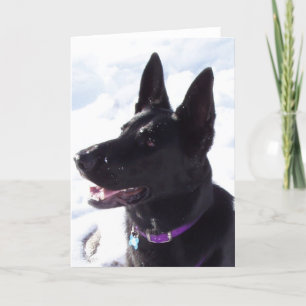 Cartes Pour Fêtes Annuelles xmas1