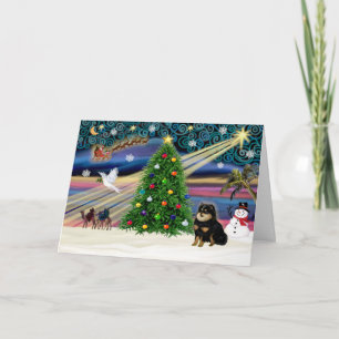 Cartes Pour Fêtes Annuelles Xmas Magic