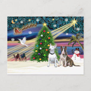 Cartes Pour Fêtes Annuelles Xmas Magic-Bull Terrier Pair