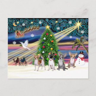 Cartes Pour Fêtes Annuelles Xmas Magic-Chihuahuas (quatre)