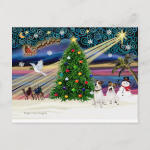 Cartes Pour Fêtes Annuelles Xmas Magic-Jack Russell Pair2