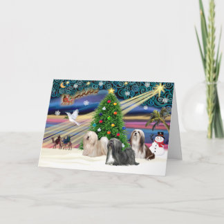 Cartes Pour Fêtes Annuelles Xmas Magic-Lhassa Apso-Trio