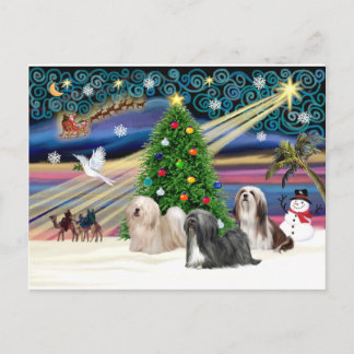 Cartes Pour Fêtes Annuelles Xmas Magic-Lhassa Apso-Trio