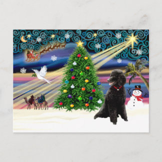 Cartes Pour Fêtes Annuelles Xmas Magic-Poodle-Std-noir
