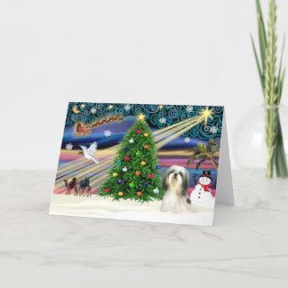 Cartes Pour Fêtes Annuelles Xmas Magic-ShihTzu 4