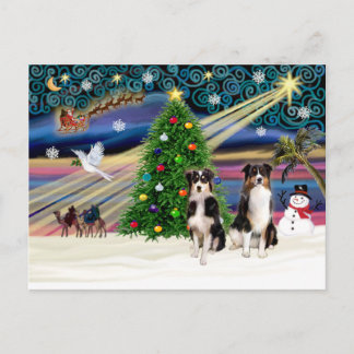 Cartes Pour Fêtes Annuelles Xmas Magic-Tri-Aussie ShepPAIR-6-7