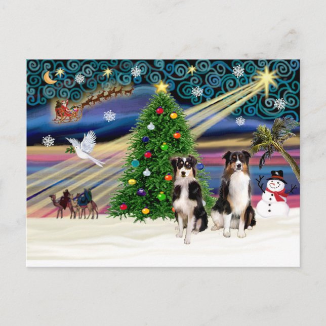 Cartes Pour Fêtes Annuelles Xmas Magic-Tri-Aussie ShepPAIR-6-7 (Devant)