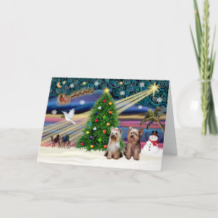 Cartes Pour Fêtes Annuelles XmasMagic-Yorkshire Terriers (deux)
