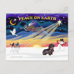 Cartes Pour Fêtes Annuelles XmasSunrise-À poils durs Dachshund