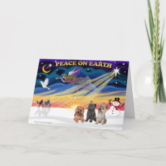 Cartes Pour Fêtes Annuelles XmasSunrise-Trois Teckels2