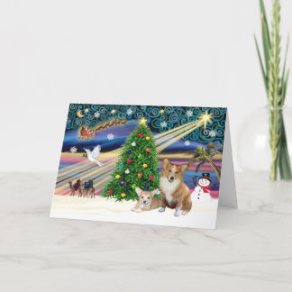 Cartes Pour Fêtes Annuelles Xms Magic-2Corgis-Pem+pup