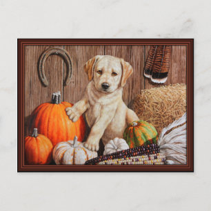 Cartes Pour Fêtes Annuelles Yellow Labrador Retriever Chien Chien Chien Citrou