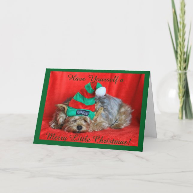 Cartes Pour Fêtes Annuelles Yorkie faisant une sieste utilisant le casquette (Devant)