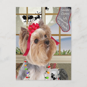 Cartes Pour Fêtes Annuelles Yorkie Montres Pour Père Noël