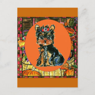 Cartes Pour Fêtes Annuelles Yorkie Poo de Thanksgiving