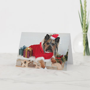 Cartes Pour Fêtes Annuelles Yorkie Yorkshire Terrier Dog - Christmas Santa Hat