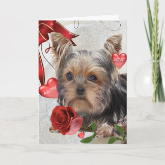 Cartes Pour Fêtes Annuelles Yorkshire Terrier Momma Love