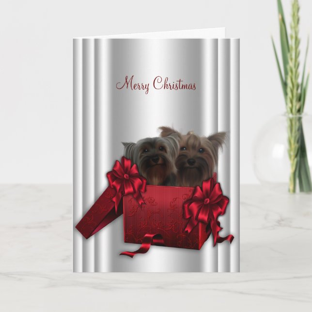 Cartes Pour Fêtes Annuelles Yorkshire Terrier Noël (Devant)