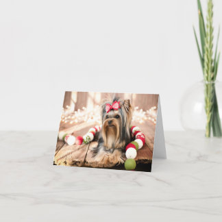 Cartes Pour Fêtes Annuelles Yorkshire Terrier Puppy Note de Noël