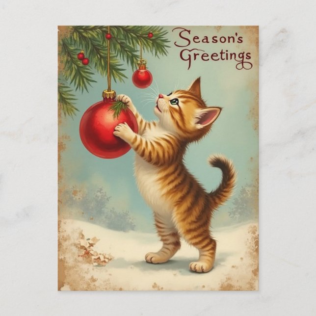 Cartes Pour Fêtes Annuelles Your Own Text Season’s Greetings Kitten Postcard (Devant)